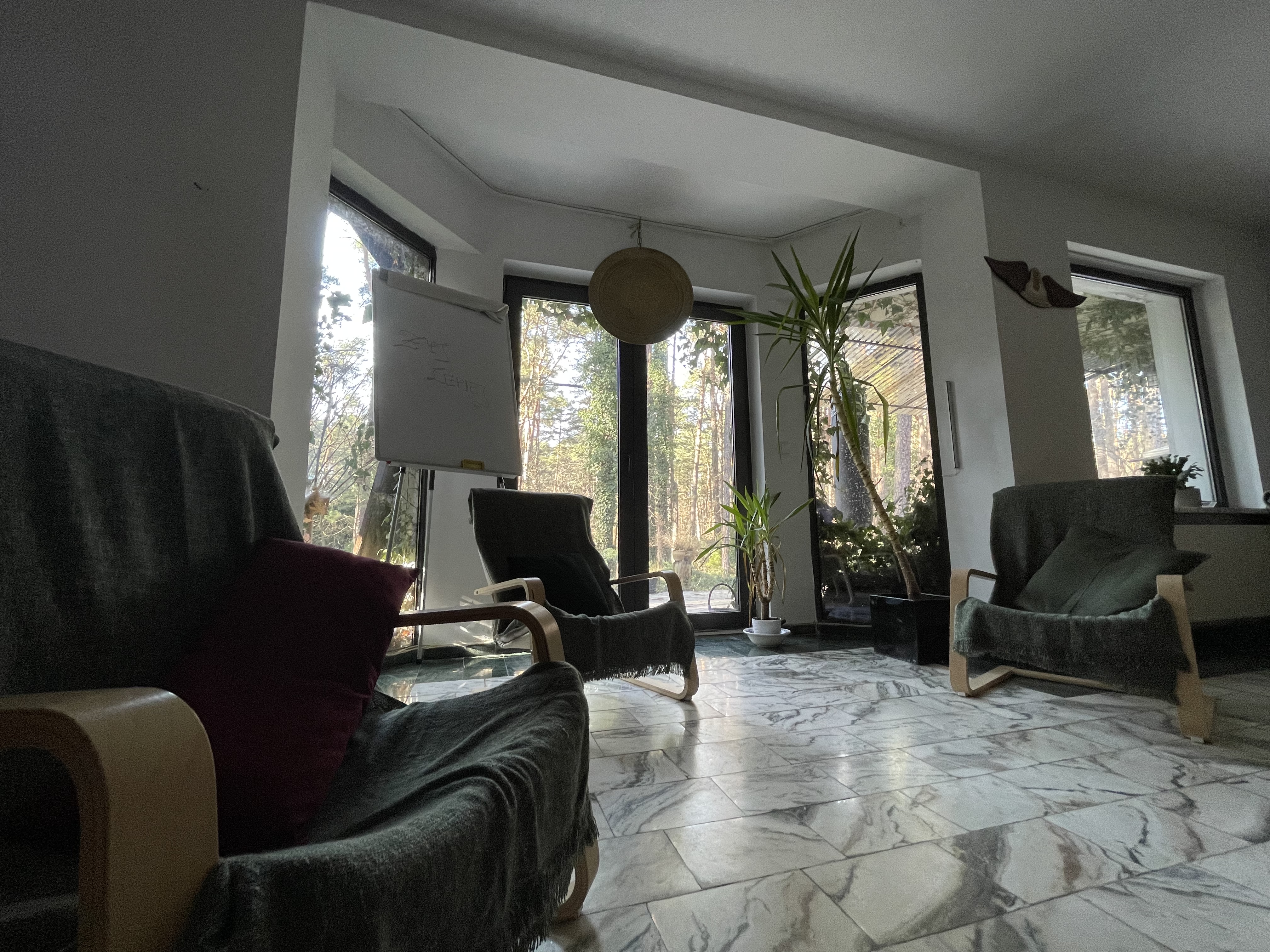 Salon terapeutyczny z fotelami i widokiem na las